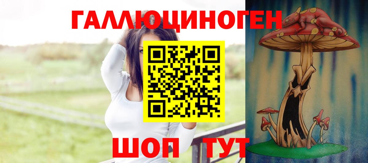 Псилоцибиновые грибы мухоморы  Вход с VPN  Псилоцибиновые грибы Magic Shrooms  Дмитров 